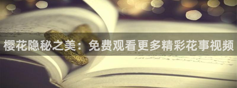星空影视传媒免费观看