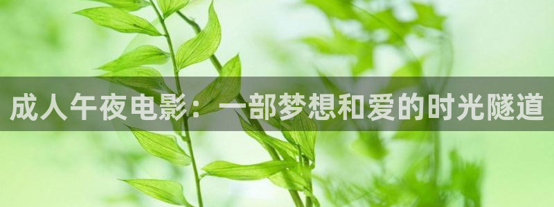 刘老根5免费看全40集樱花视频