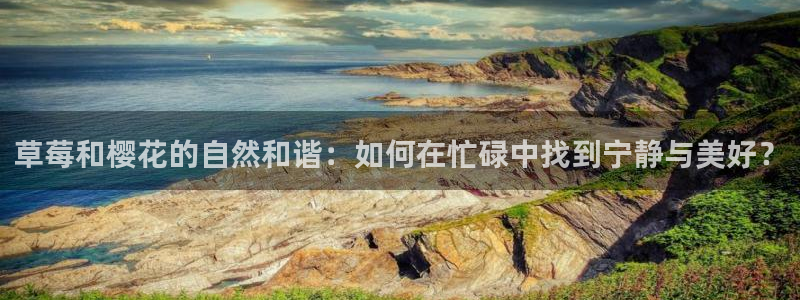 星空高清免费观看完整电影