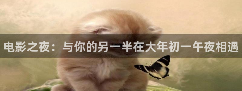 星空无痕mv高清免费观看