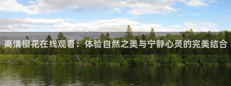 星空影视正版免费下载