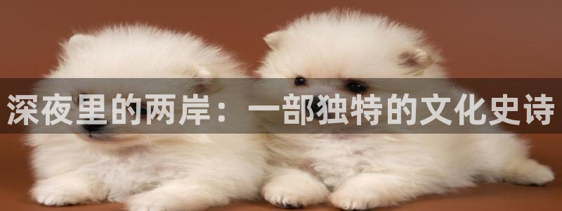 樱花视频网免费