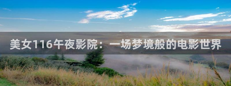 星空传媒影视mv免费
