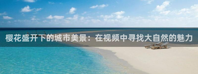 星空影视网官网