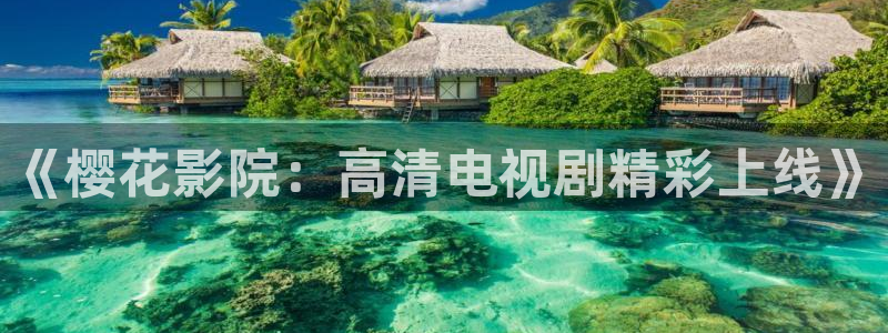 星空视频在线观看免费播放电影