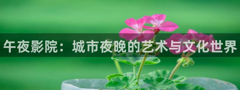 时光代理人第一季免费观看高清版星空影视