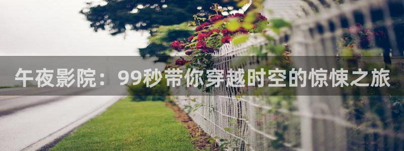 电影网 星空
