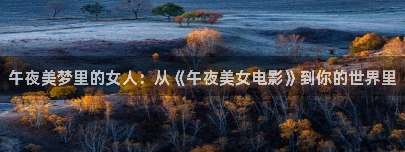 星空影视最新版