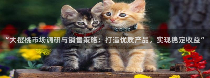 樱花视频电视剧免费播放在线观看影