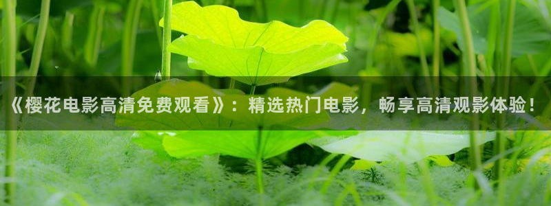 星空视频app
