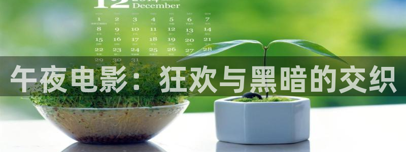 樱花视频,