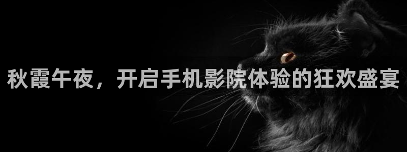 樱花视频免费高清视频