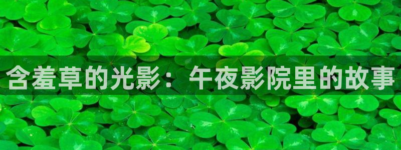 星空影视破解版下载