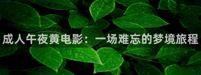 星空·影院