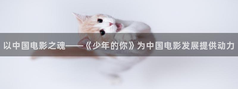 外出2樱花视频