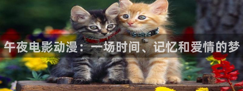潜伏电视剧在线观看樱花视频